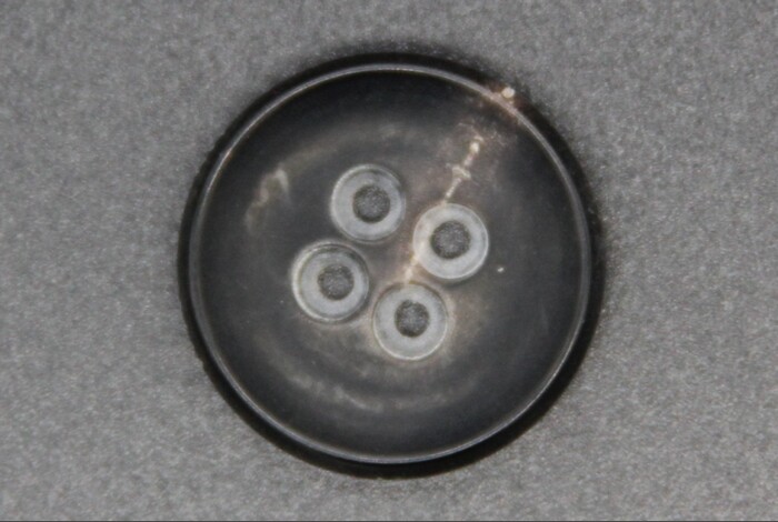 FR016黑牛角