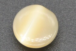 FM062贝壳脚钮